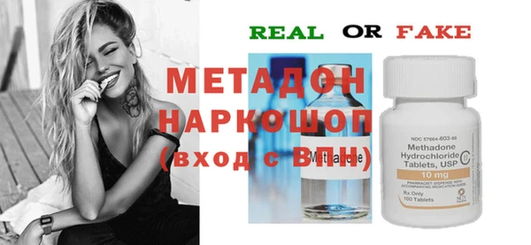 индика Бородино