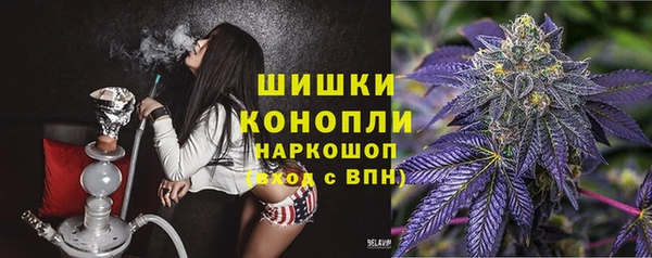 твердый Магас