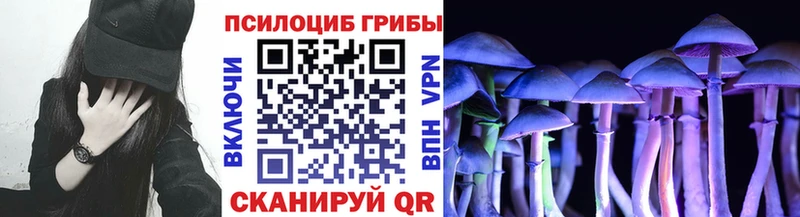 Галлюциногенные грибы Magic Shrooms  Волгодонск 