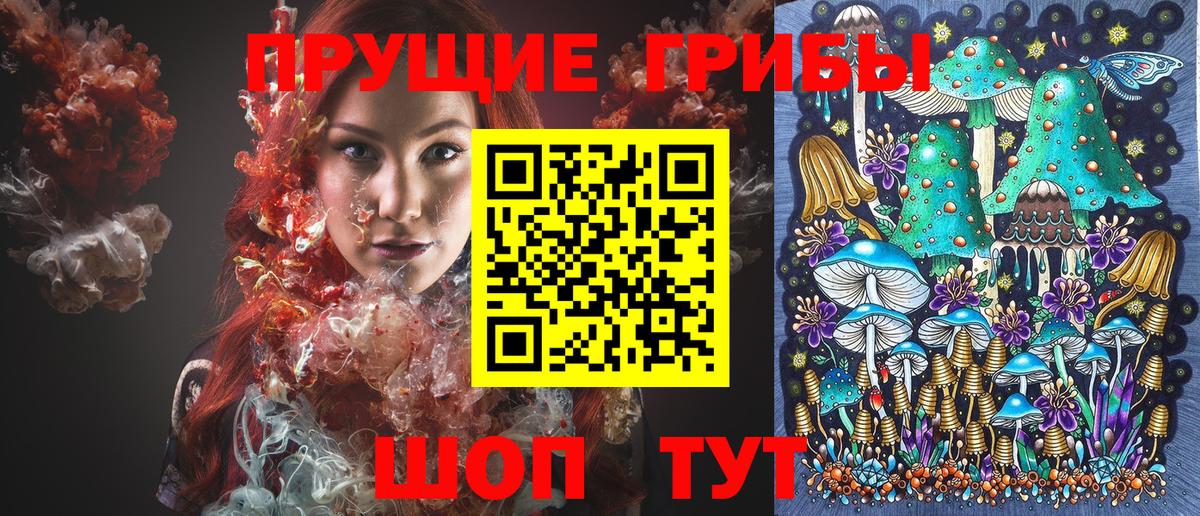 Галлюциногенные грибы Cubensis  Волгодонск 