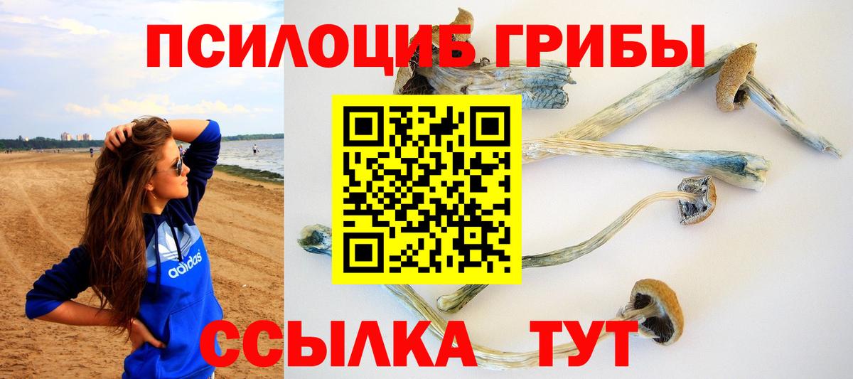 Псилоцибиновые грибы MAGIC MUSHROOMS Волгодонск