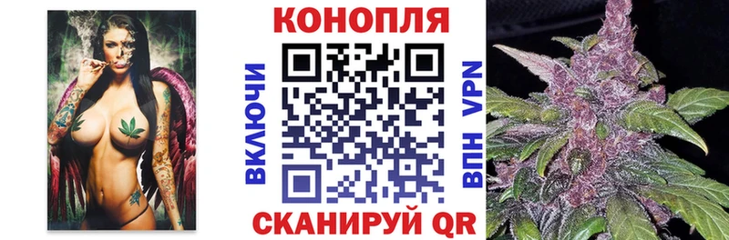 мориарти Telegram  Волгодонск  Бошки Шишки семена 